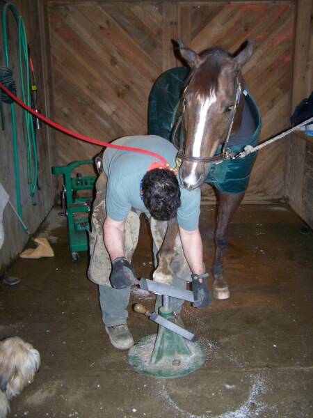 Ken rasping "Beau" Marotti's hoof
