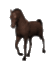 check out our "horses for sale"
