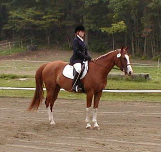Tarini & Splish Splash -MWVtSS 1st Level Dressage Champions!